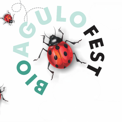 bioagulo
