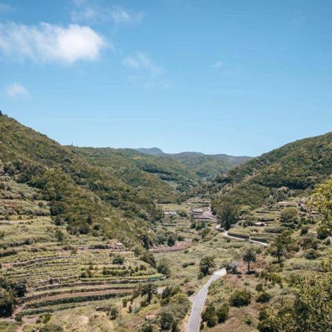 la_palmita