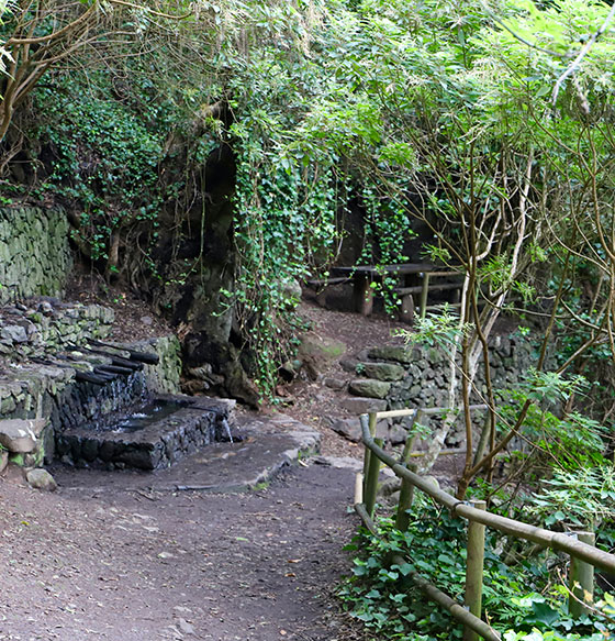 Chorros de Epina - Alojera - Arure