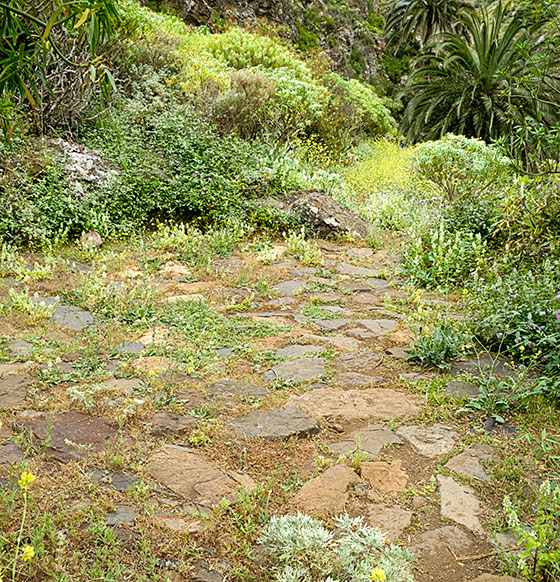 Vallehermoso - Tamargada - Simancas - La Vega - Pajar de Bento - El Roquillo - Agulo