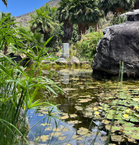 Jardín Botánico del Descubrimiento