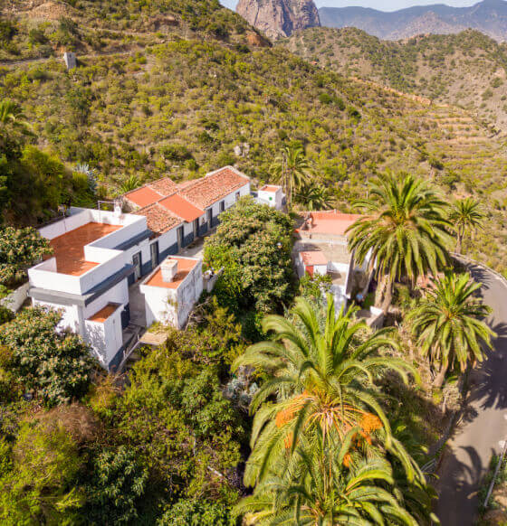 Tamargada - Mazapeces