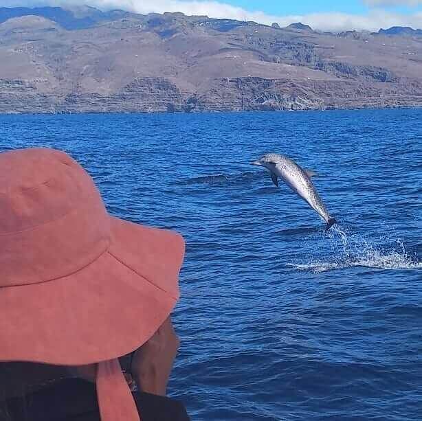 Pura Vida