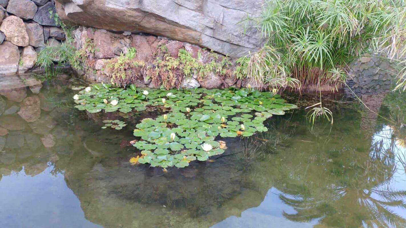 Jardín del Descubrimiento