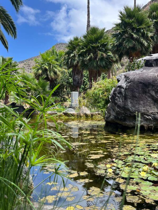 Jardín Botánico del Descubrimiento