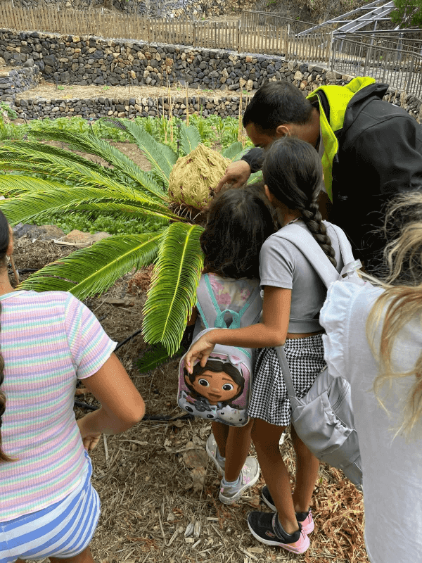 Jardín Botánico del Descubrimiento