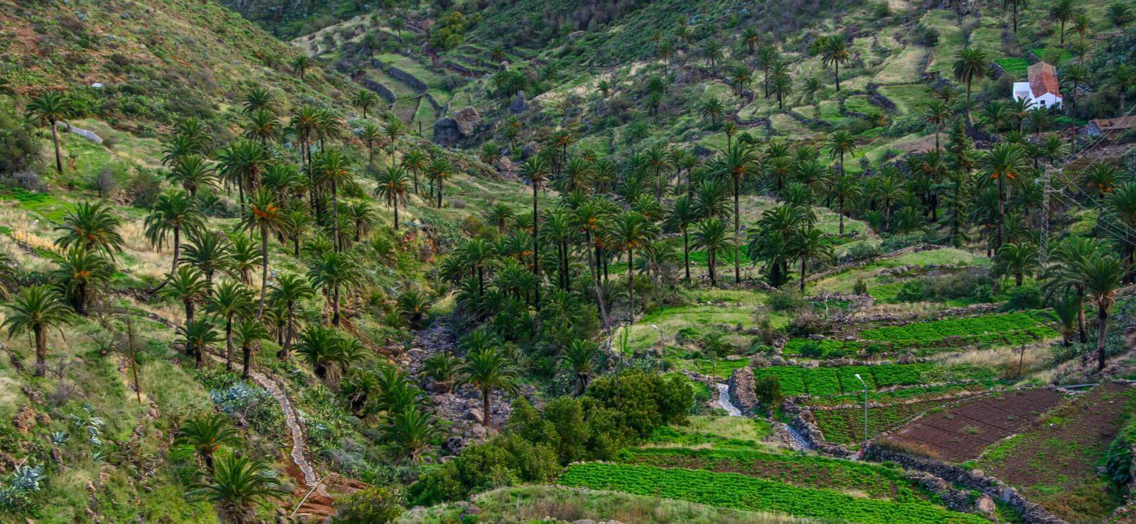 Caserío-de-Imada-La-Gomera