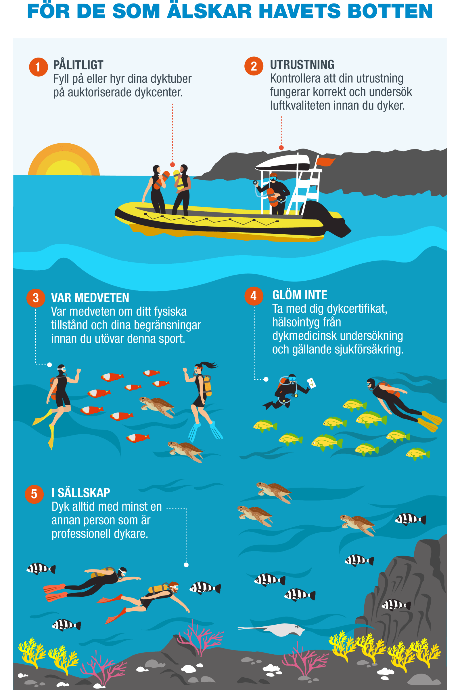 SV-Infografía 8 - Buceo