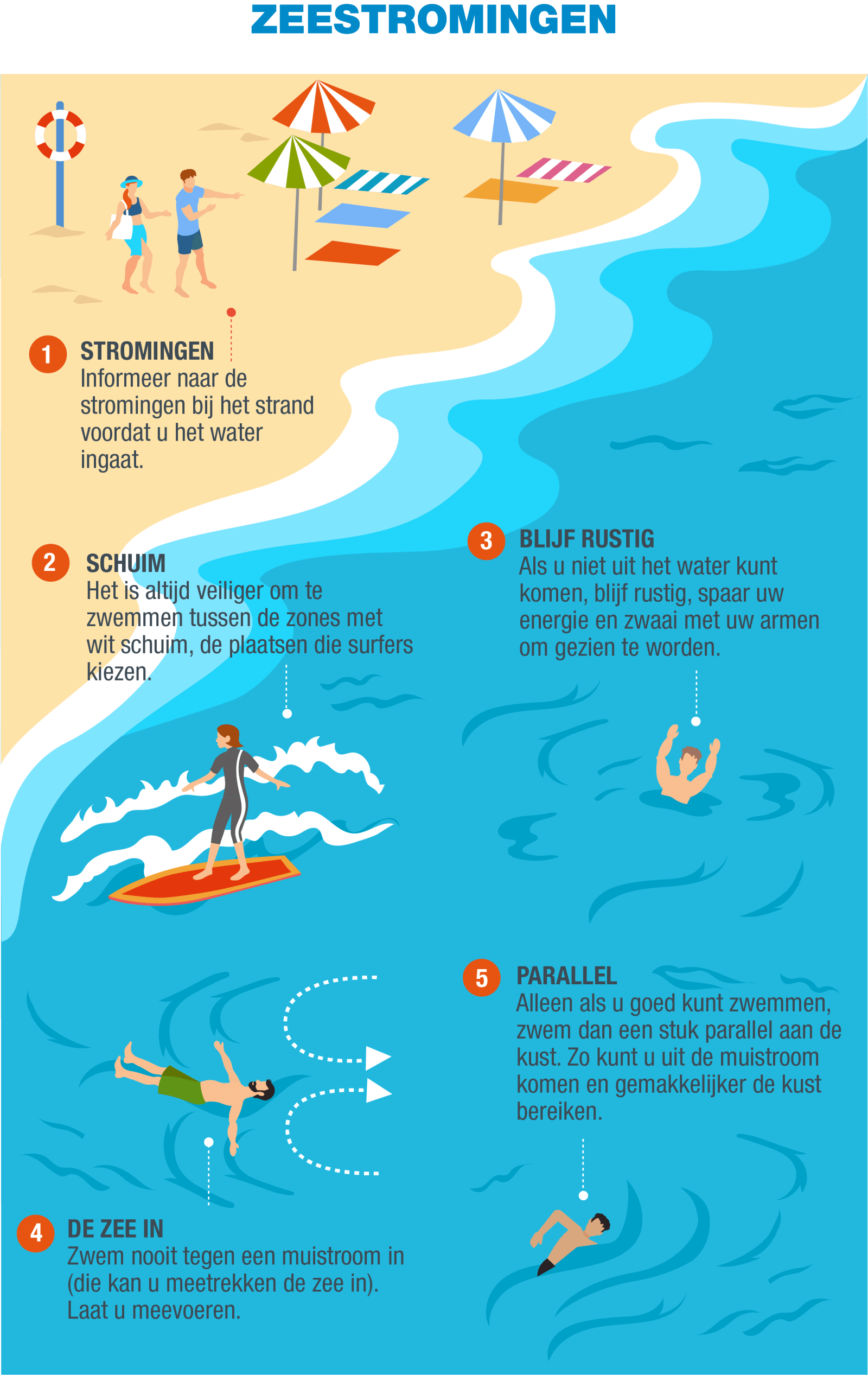 NL-Infografía 6 - Corriente de retorno