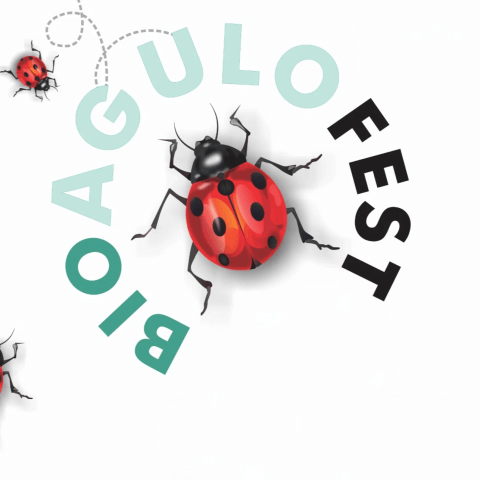 bioagulo