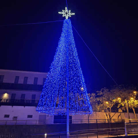 programa_navidad_alajero