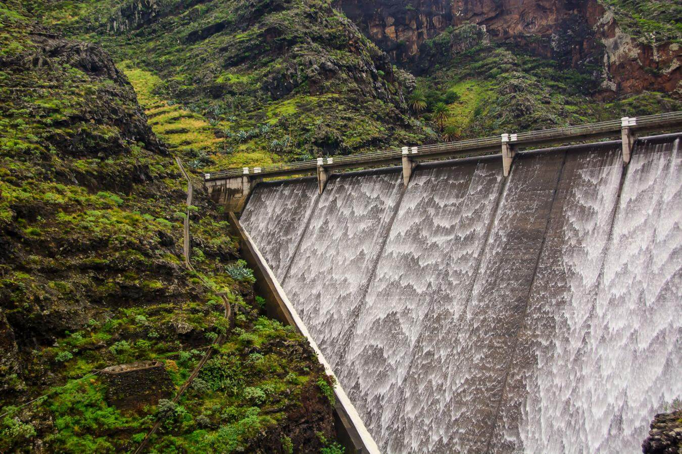 Los Chejelipes. La Gomera