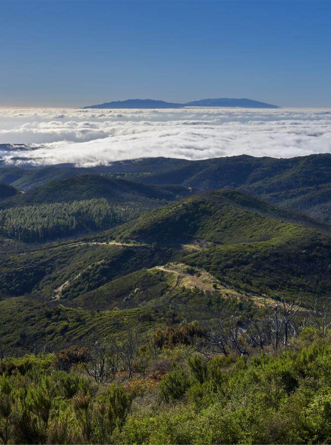 Alto-de-Garajonay-La-Gomera-1