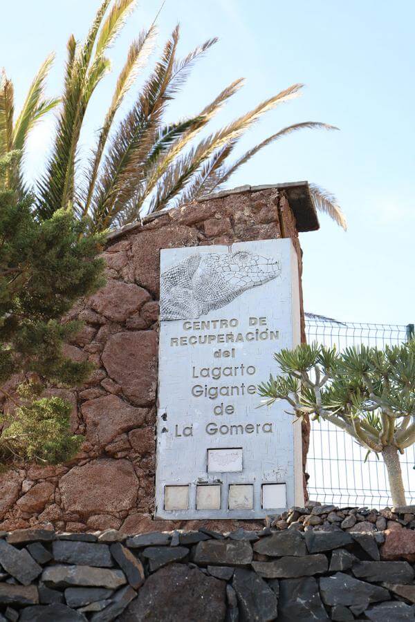 Centro de recuperación del Lagarto Gigante de La Gomera