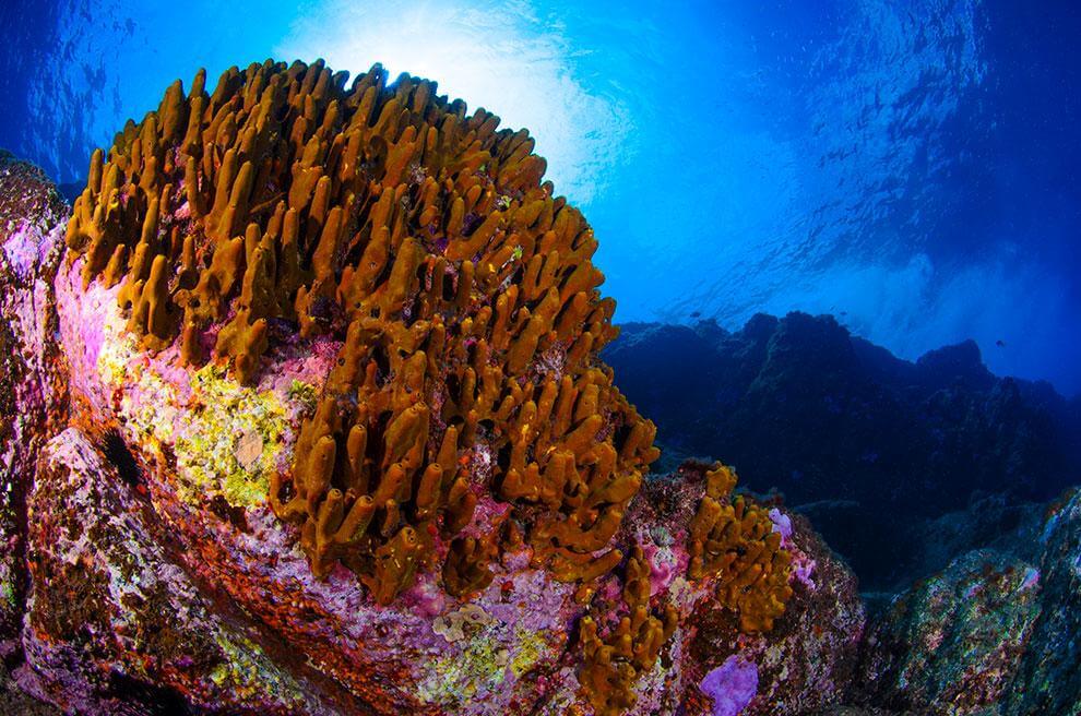 Fondo submarino, Playa La Cueva