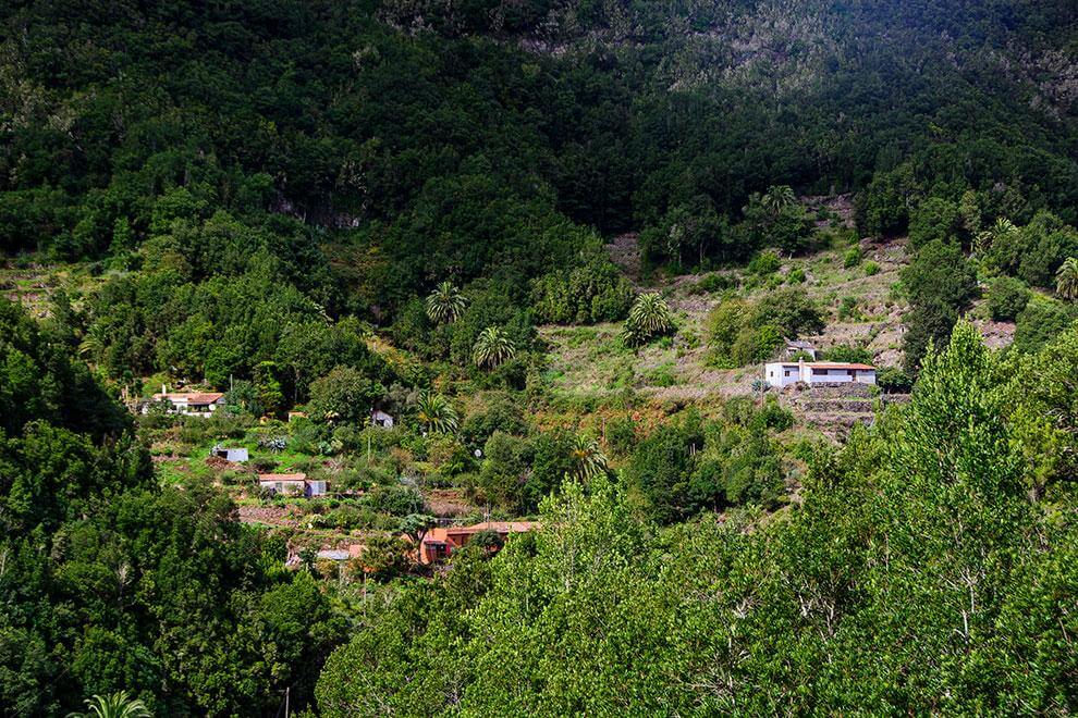 Caserío el Cedro