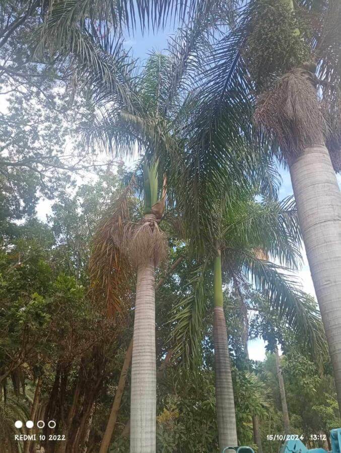 Jardín del Descubrimiento
