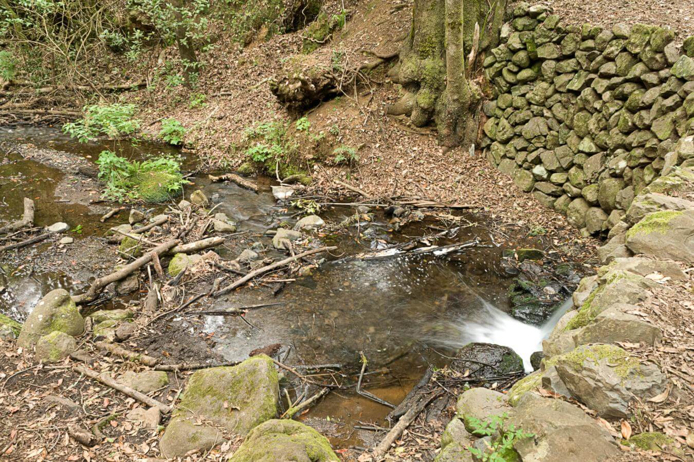 Sendero Contadero-El Cedro