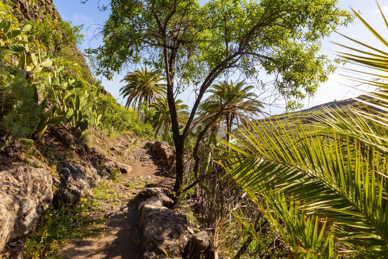 Sendero al Drago de Agalán